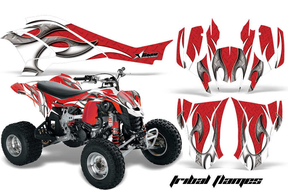 Can-Am DS450 Graphics Kit TFlames WR